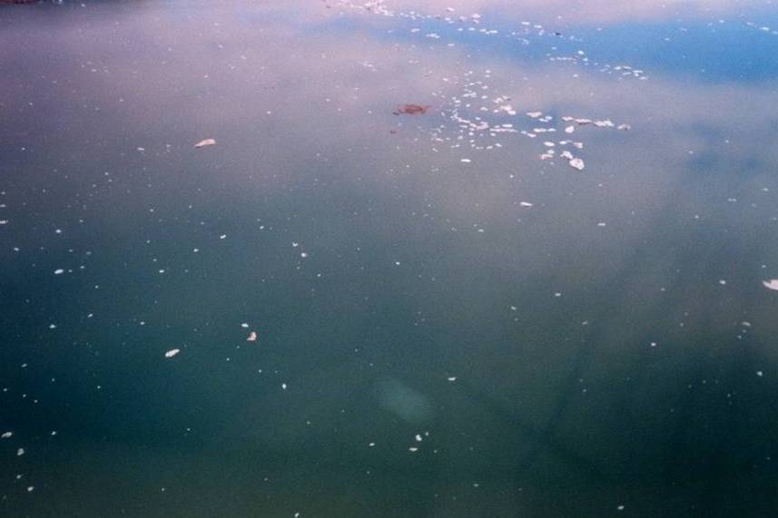 Pezzi di ghiaccio sul mare visti dall'aereo